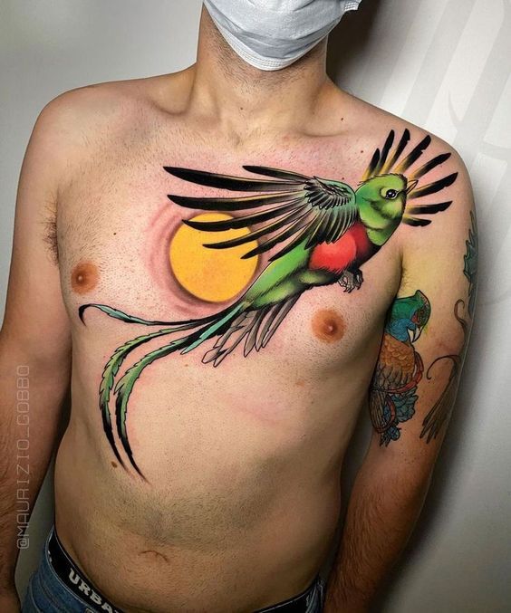 18 Ideas Unique Quetzal Tattoo Ideas for Men: From Bold Designs to Subtle Styles