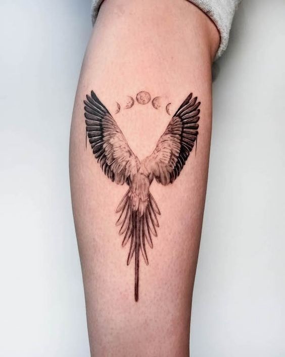 Creative Bird Tattoo for Men Designs: From Minimalist Styles to Bold Phoenix on Chest, Arm, and Neck 2025