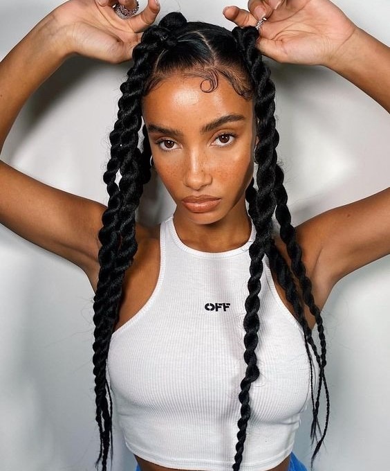 Discover the Most Stunning and Trendy Box Braids Hairstyles in 2025